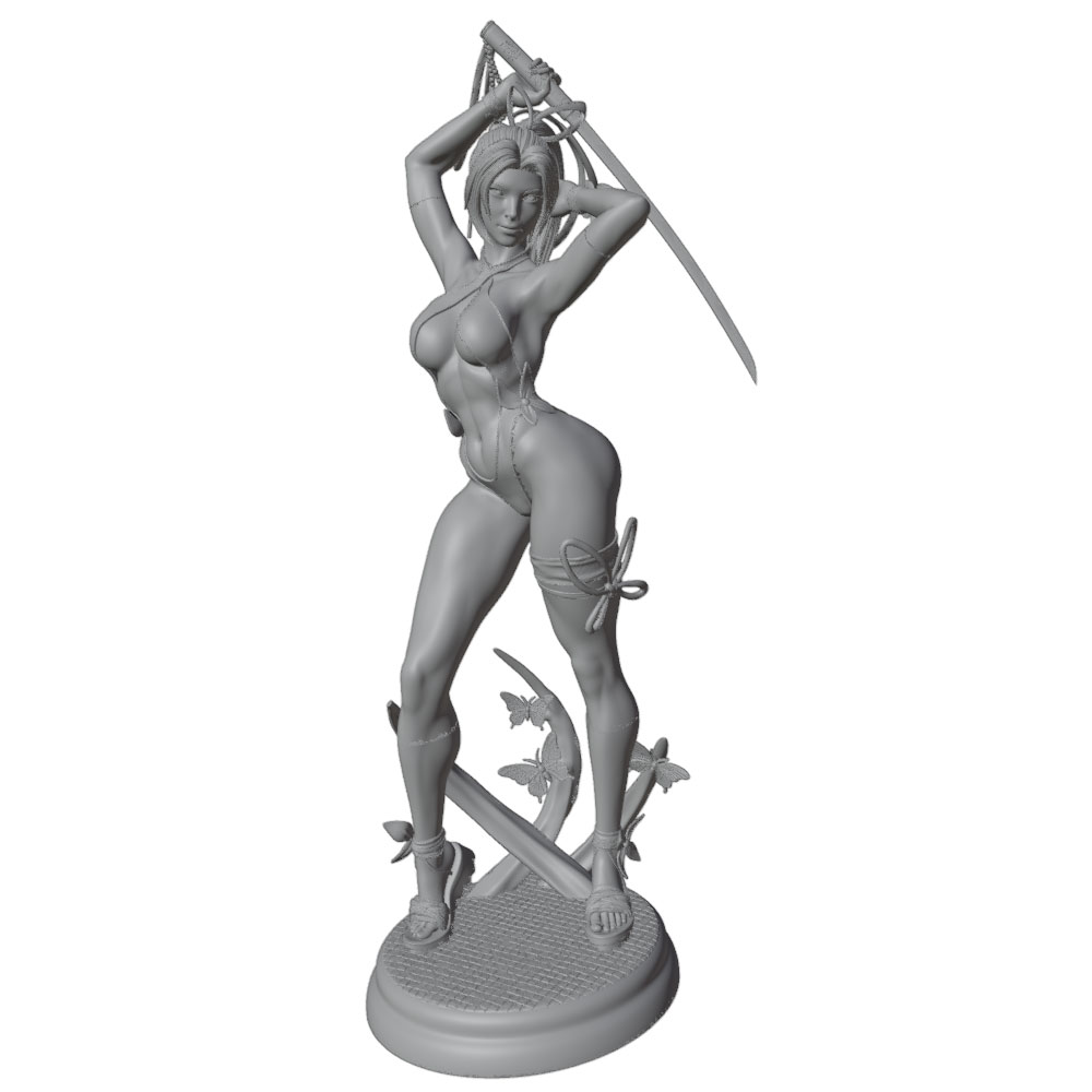 1/24 Mujer 	 Kits de modelos d - Model Kit Hg reseña y precio
