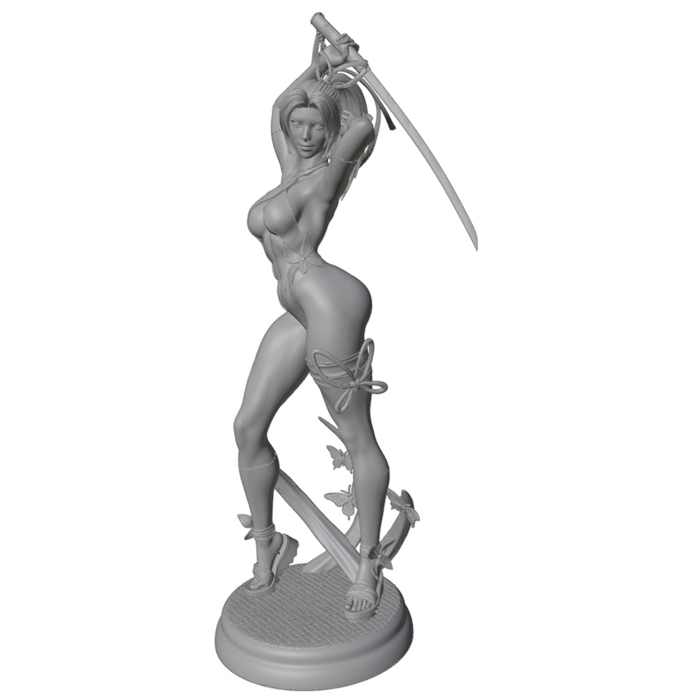 1/24 Mujer 	 Kits de modelos d - Model Kit Hg reseña y precio