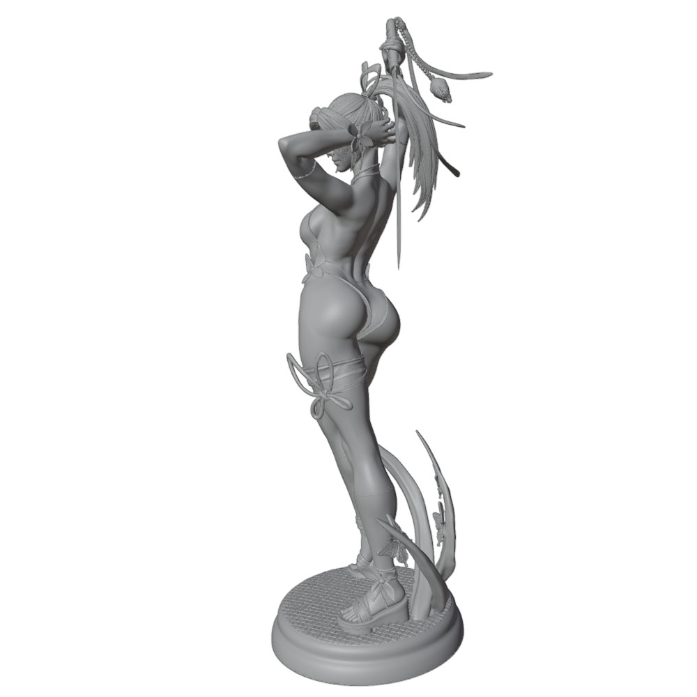 1/24 Mujer 	 Kits de modelos d - Model Kit Hg reseña y precio